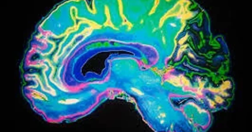 How Pornography Affects Your Brain [is porn good for you?] - 