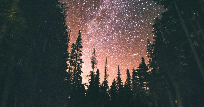 The Best Ways To Battle Pornography Use - Ever Accountable