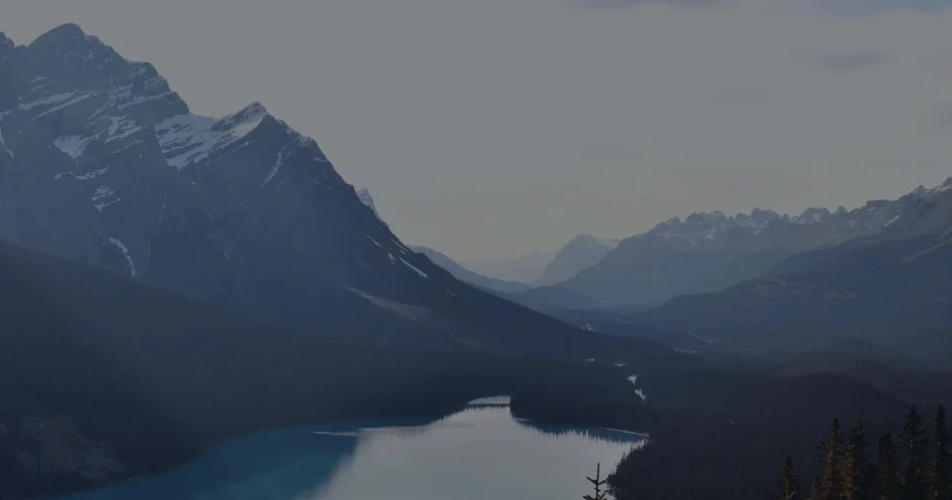 Porn Stats: Surprising Facts You Should Know - Ever Accountable